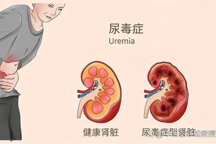 开云电竞手机版官网首页截图4